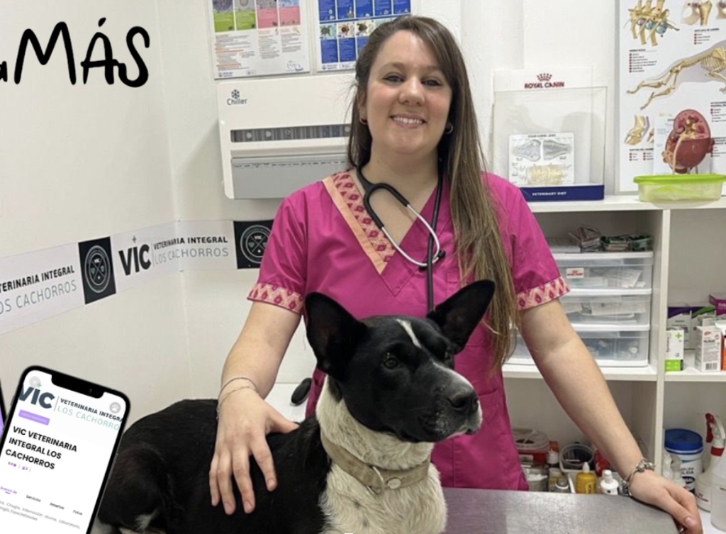 Veterinaria del Viso