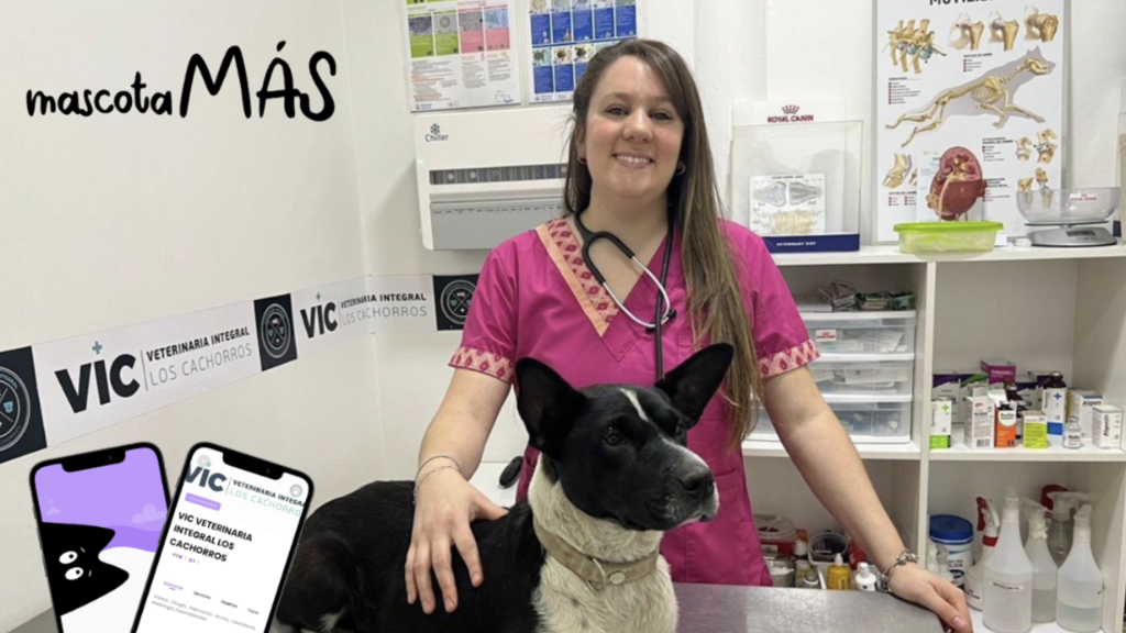 Veterinaria del Viso