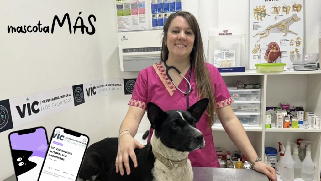 Veterinaria del Viso