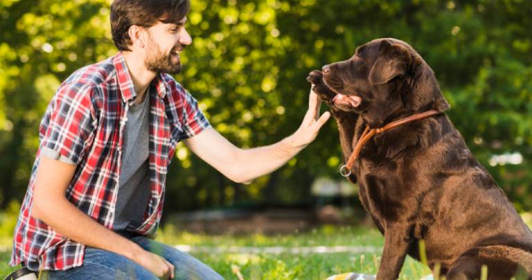 la-capacidad-de-los-perros-para-entender-palabras